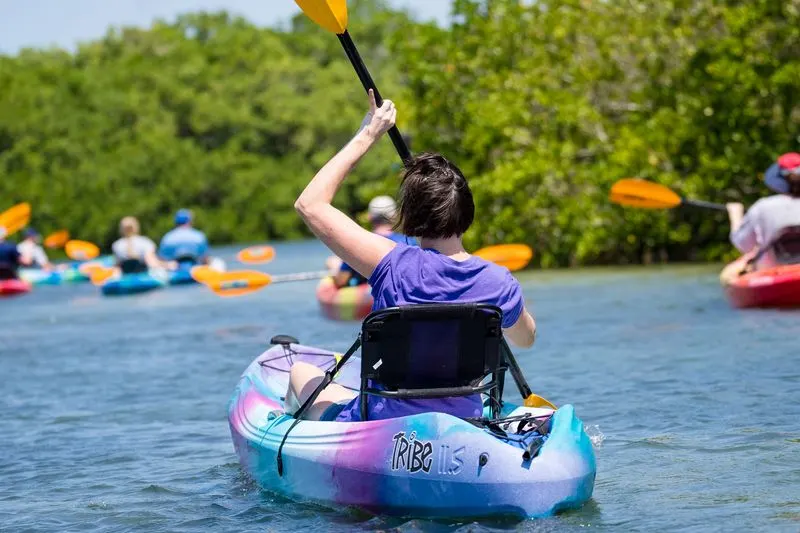 Kayak or Paddleboard Tour Through the Mangroves