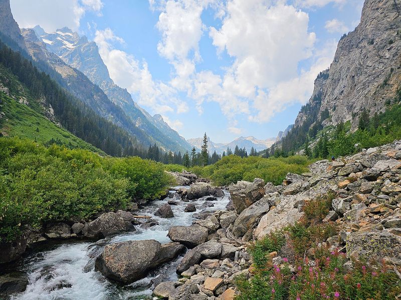Cascade Canyon Trail