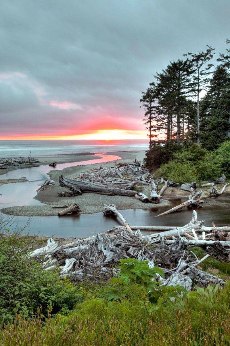 Kalaloch Campground, Olympic National Park, Washington