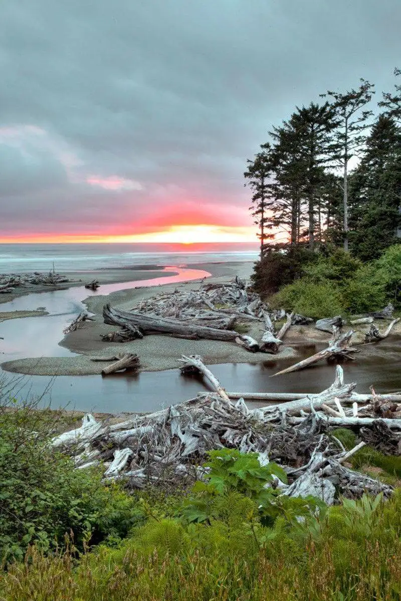 Kalaloch Campground, Olympic National Park, Washington