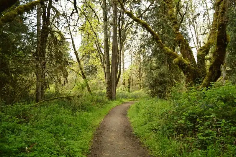 Elijah Bristow State Park, Oregon - Better