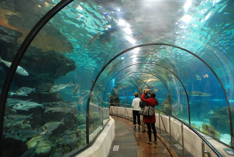 Dallas World Aquarium