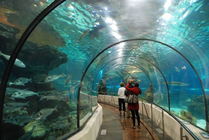 Dallas World Aquarium