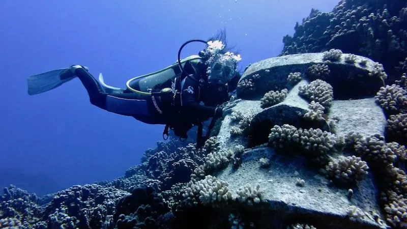 Diving Easter Island's Waters
