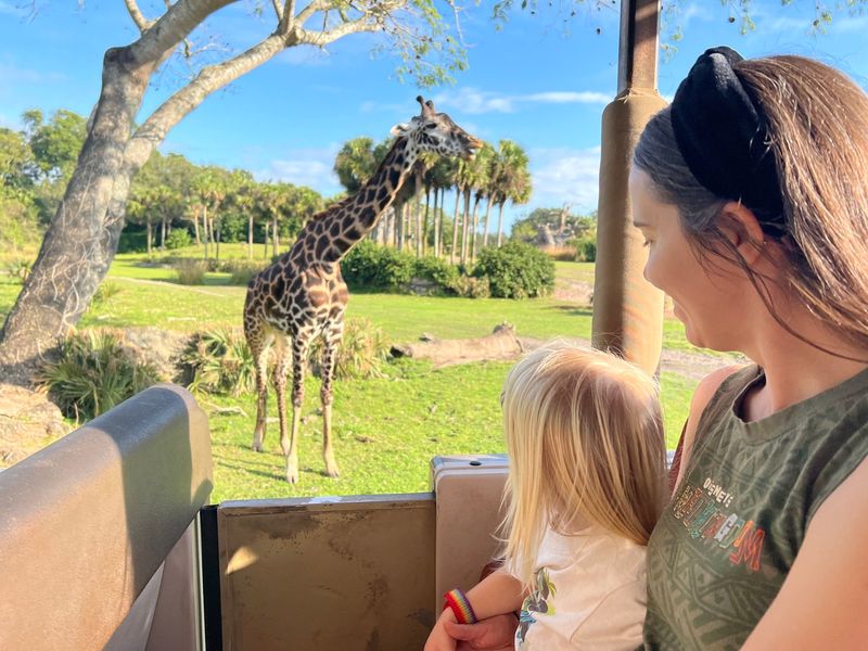 Love: Disney's Animal Kingdom Safari