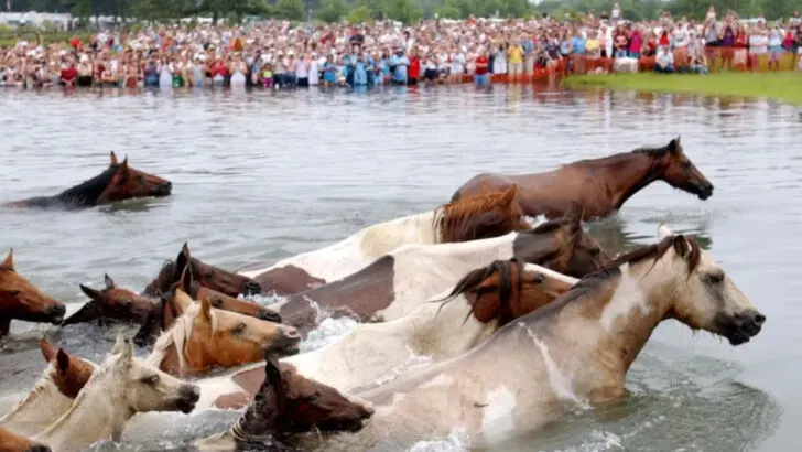 Skip the crowds, these 15 offbeat Virginia towns offer something different