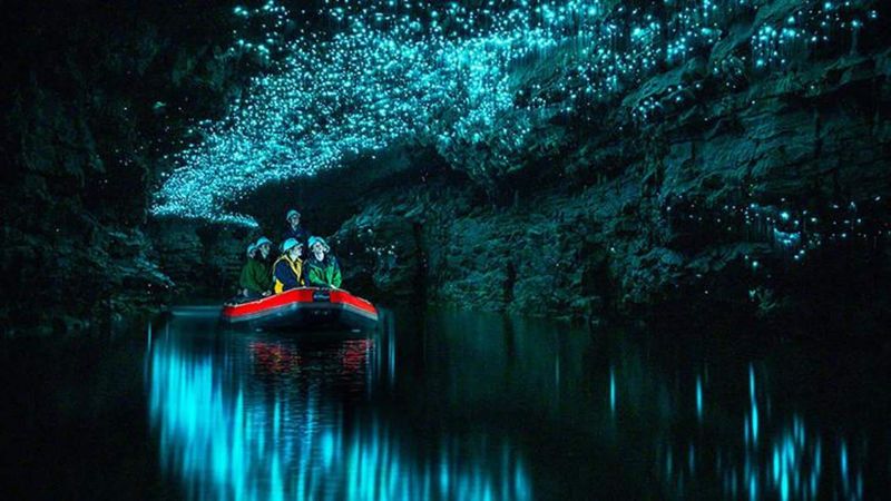 Glowworm Caves in Waitomo
