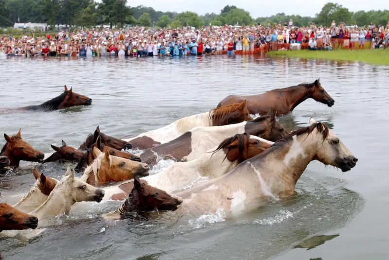 Chincoteague