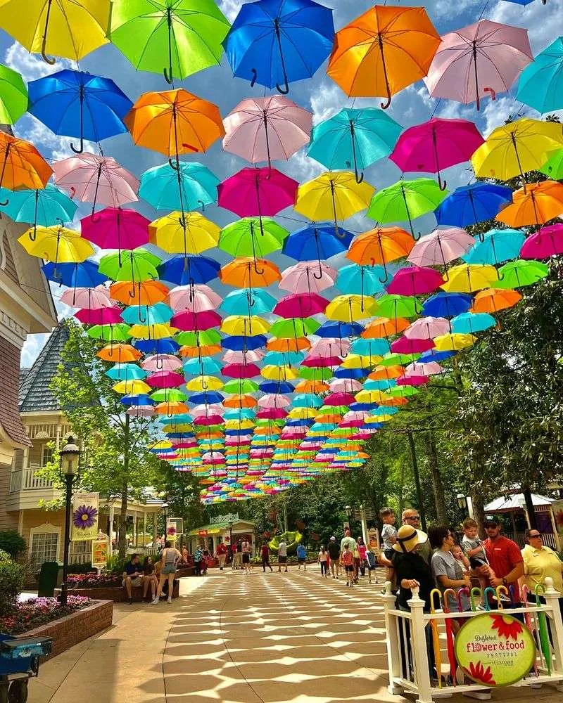 Dollywood in Bloom Weekends