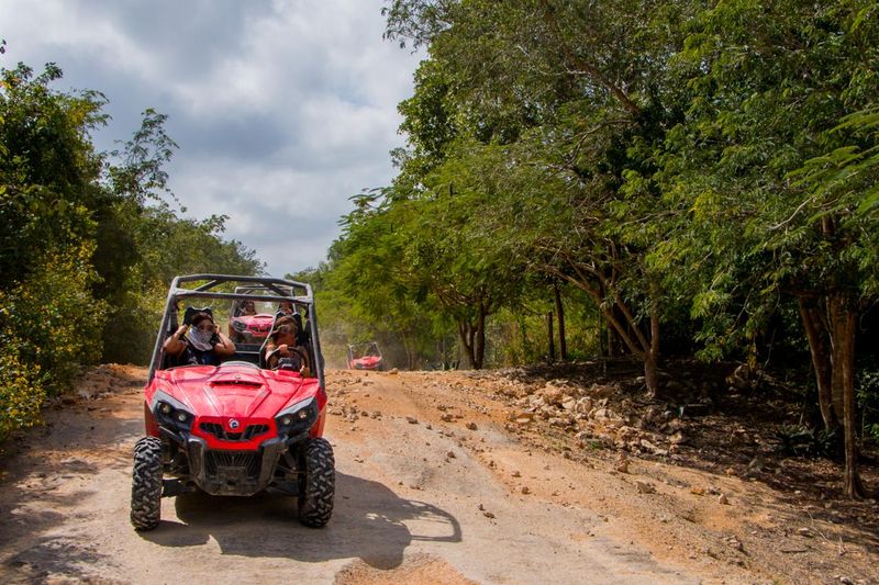 Jungle Buggy Tour
