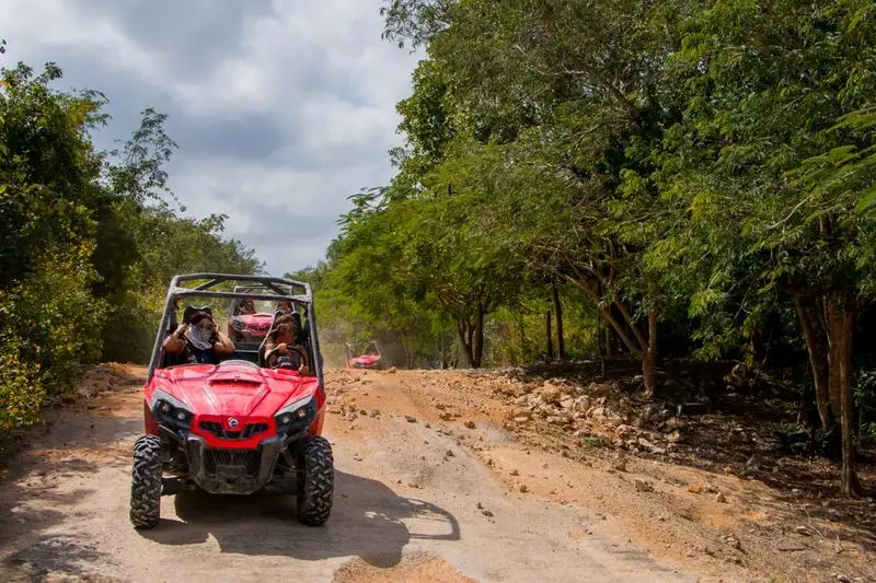 Jungle Buggy Tour