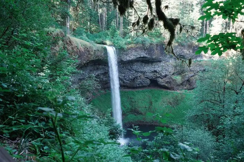 Silver Falls State Park, Oregon - Overrated