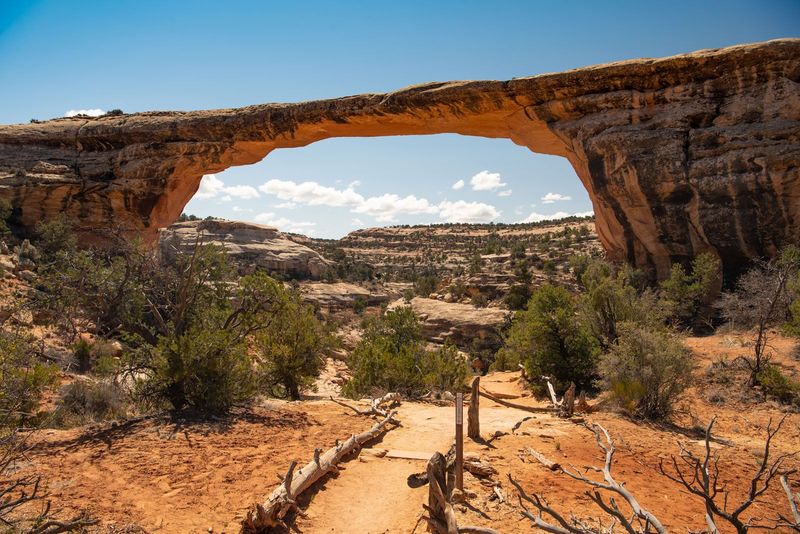 Natural Bridges National Monument