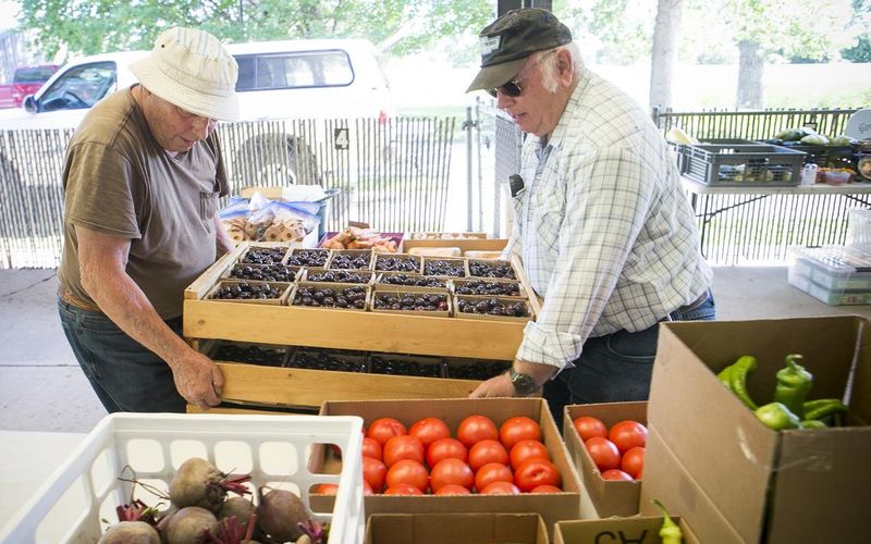 Local Farmers Markets and Summer Stands