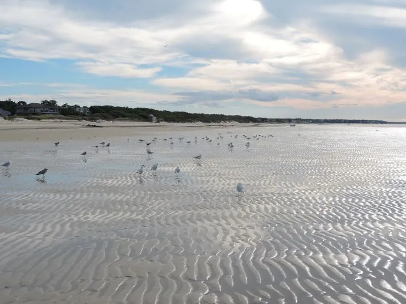 Crosby Landing Beach