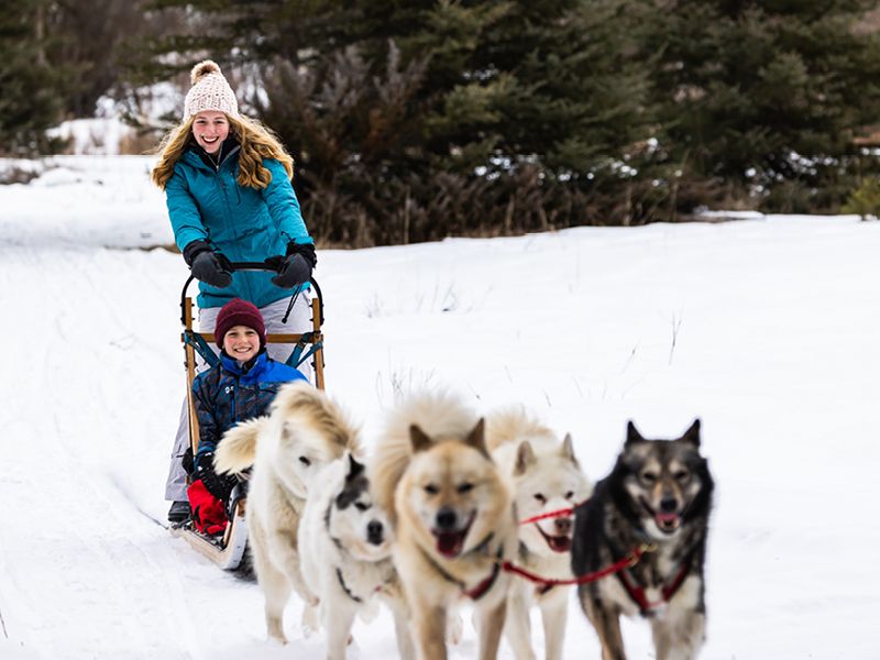 Try Dog Sledding or Sleigh Rides