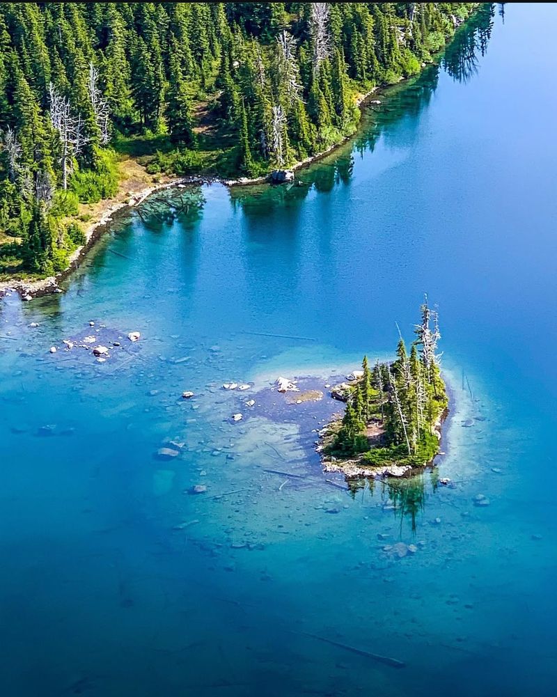Look for Wildlife in the Elwha Valley