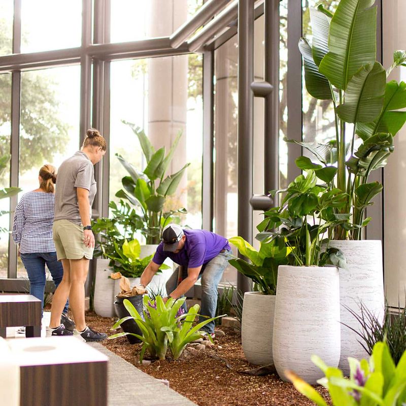 Container Gardens Reflect Staff Pride