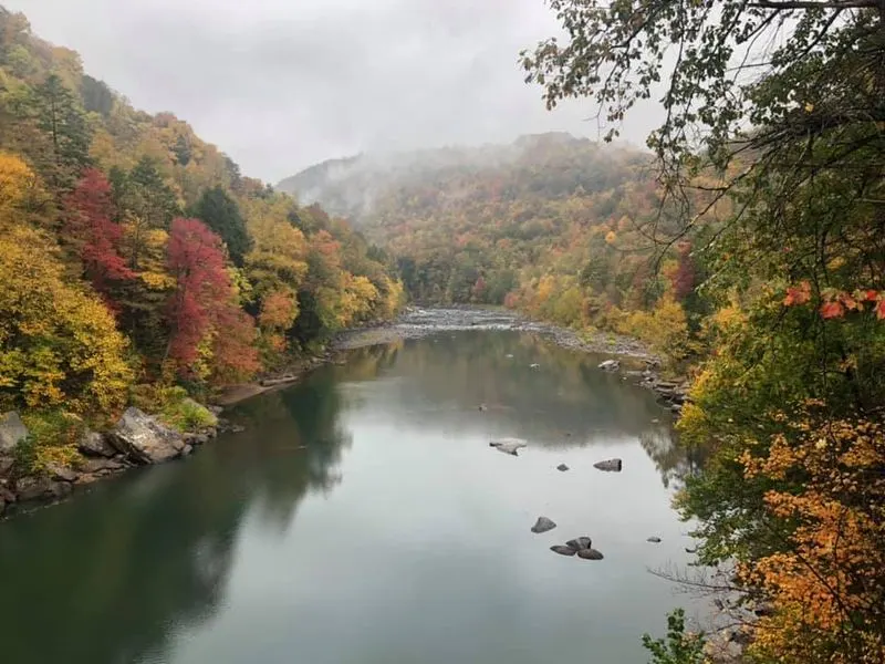 Cheat Narrows (Cheat River)