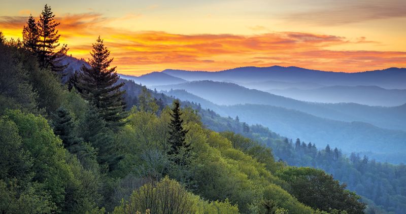 Tennessee – Great Smoky Mountains National Park