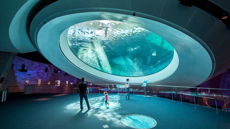 Frost Science Museum
