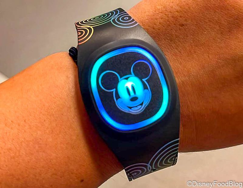 Fancy MagicBands