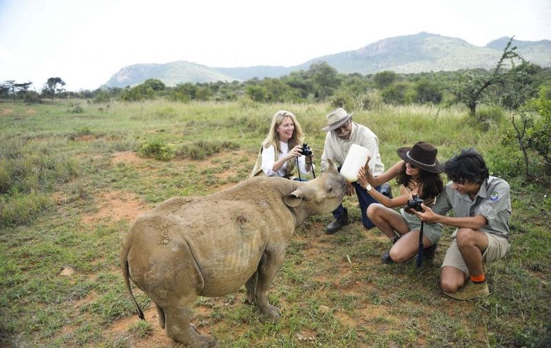 Feeding or Chasing Wildlife