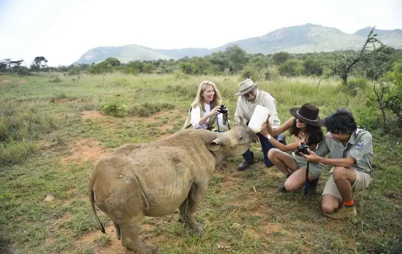 Feeding or Chasing Wildlife