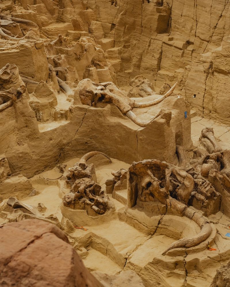 The Mammoth Site