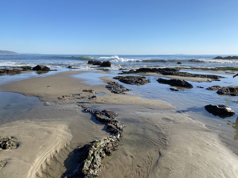 Explore the Tidepools at Low Tide