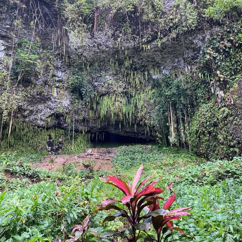 Take a Boat Ride to Fern Grotto