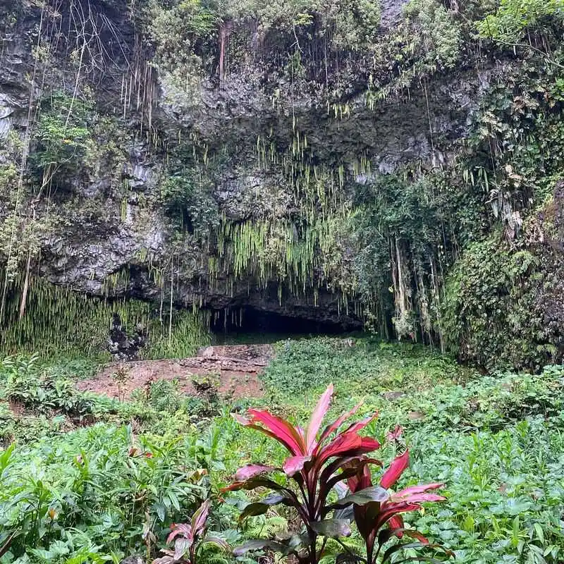 Take a Boat Ride to Fern Grotto