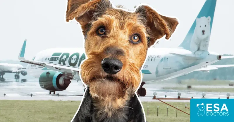 Frontier Airlines