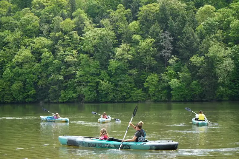 Paddle Out on Laurel Lake