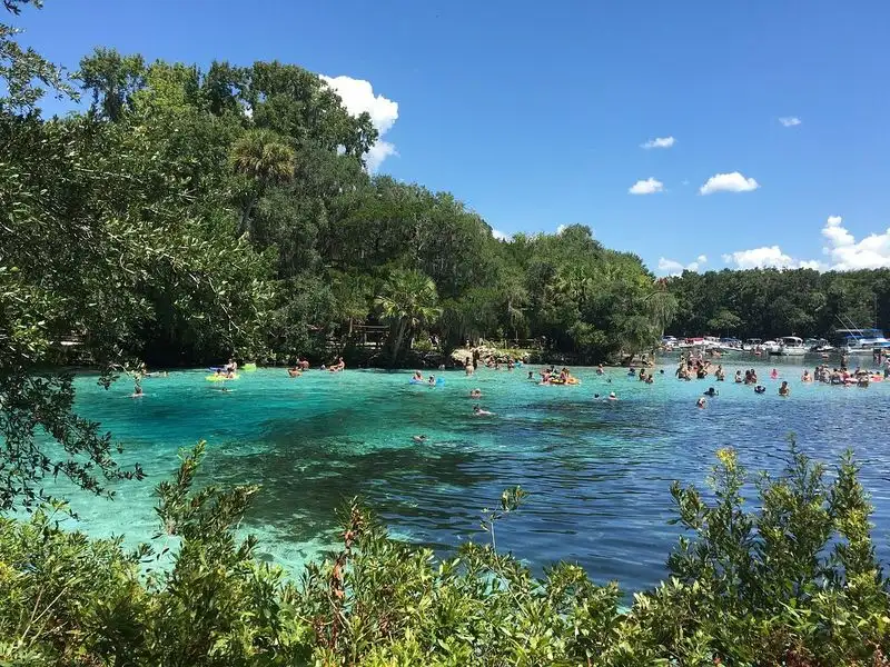 Explore Juniper Springs or Salt Springs Recreation Areas