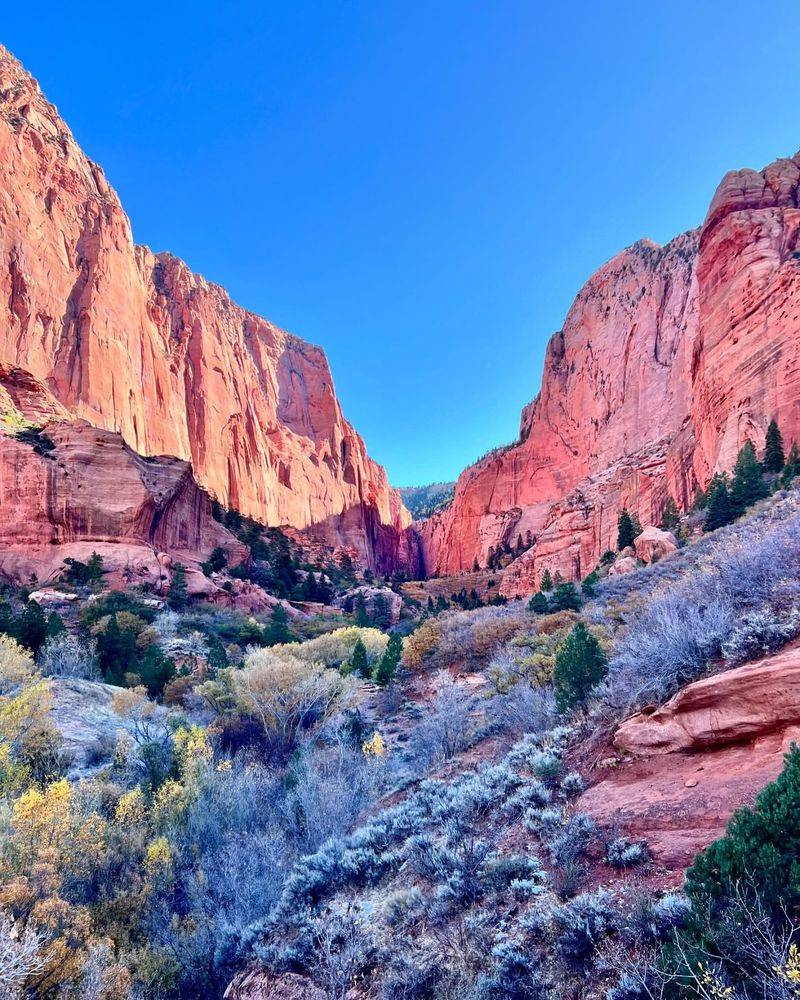 Visit the Kolob Canyons Area