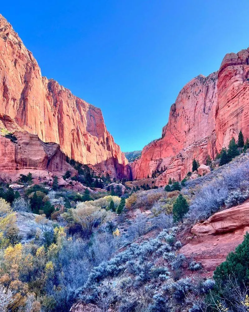 Visit the Kolob Canyons Area