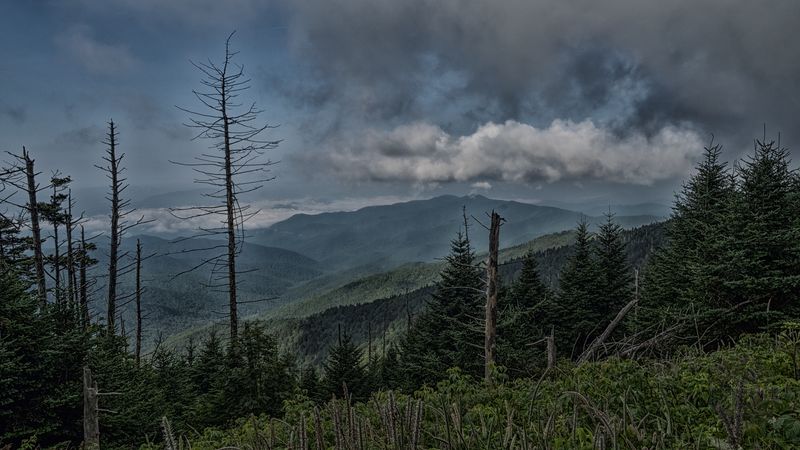 Great Smoky Mountains National Park – Misty Views and Wild Encounters