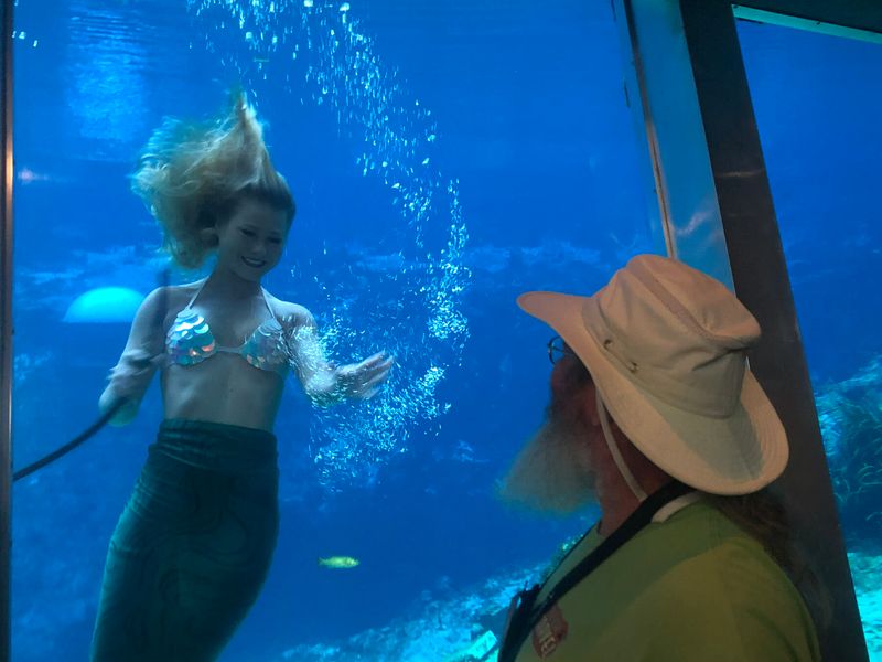 Weeki Wachee Springs State Park