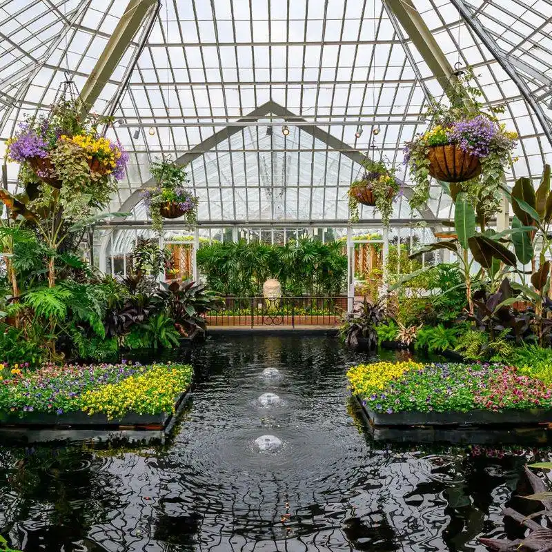 Wander through Phipps Conservatory and Botanical Gardens