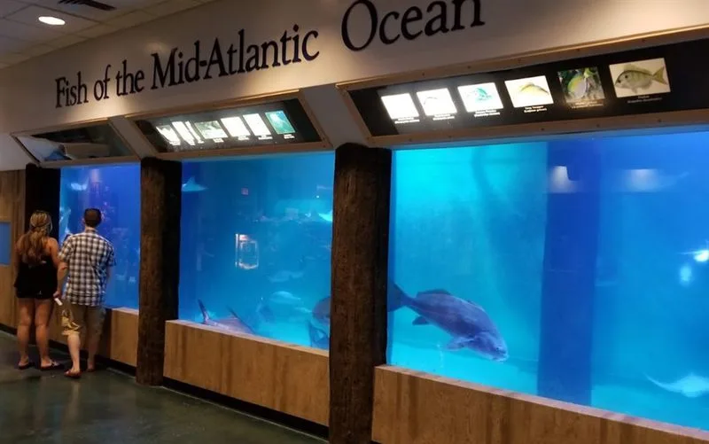 Atlantic City Aquarium