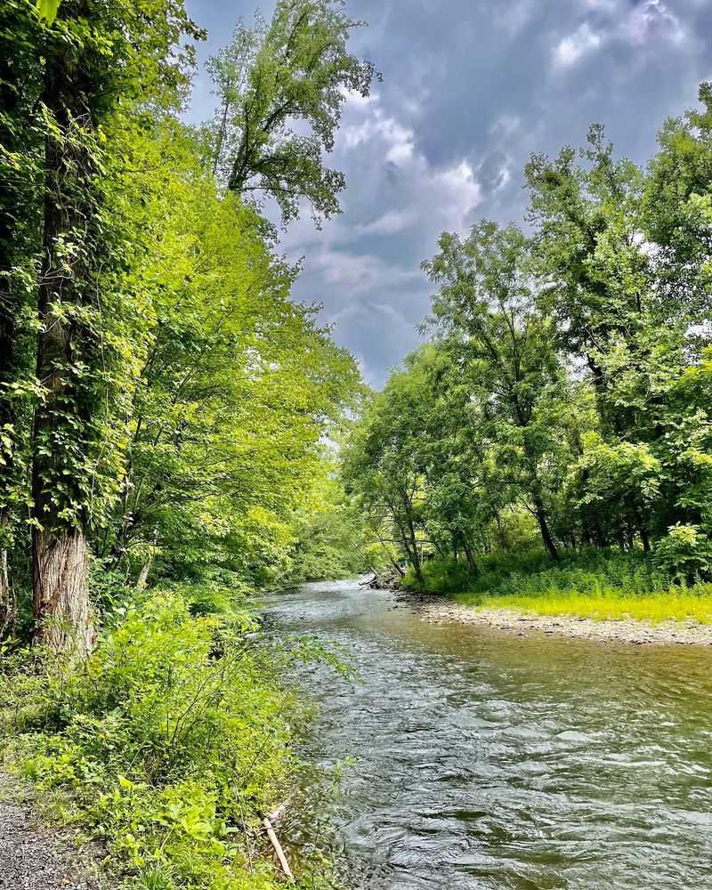 Walk the Gatlinburg Trail for River Views and Forest Plants