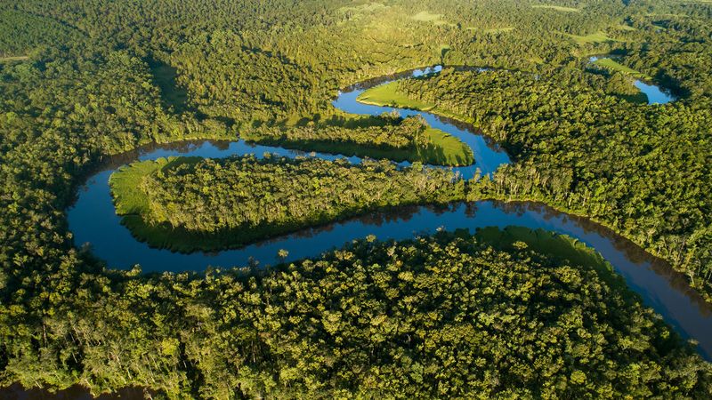 Kayak the Altamaha River Delta