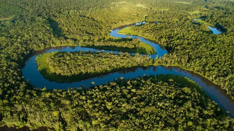 Kayak the Altamaha River Delta