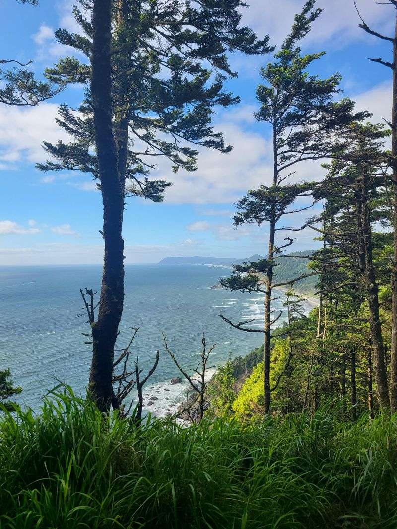 Wander through the Coastal Trails at Fort Stevens State Park (Hammond, OR)