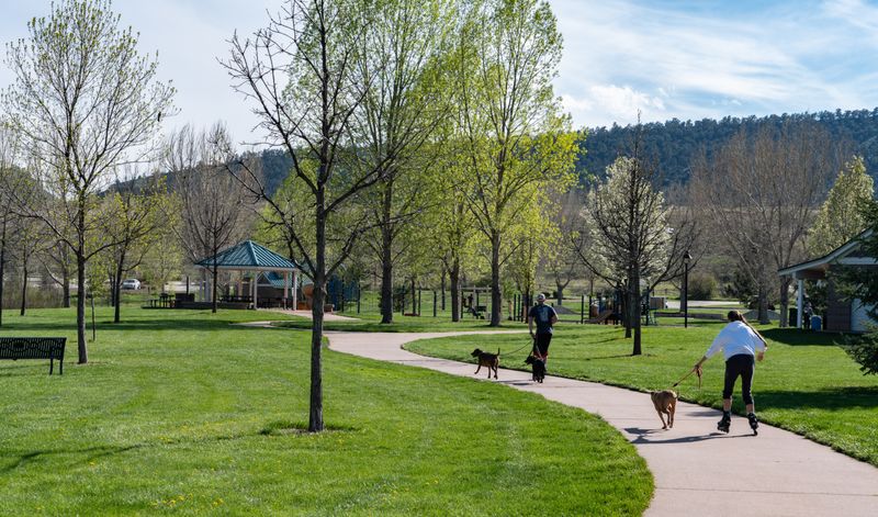 Sustainable Living and Eco-Friendly Initiatives