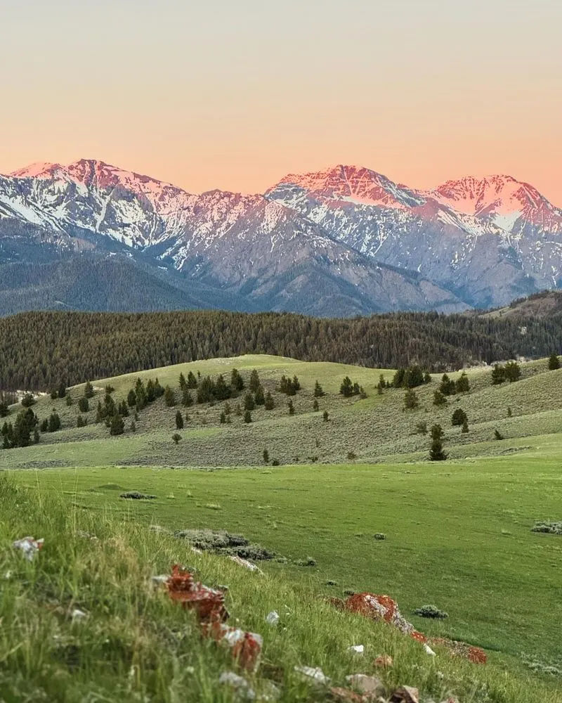 Alpine Meadows Just Below the Peaks