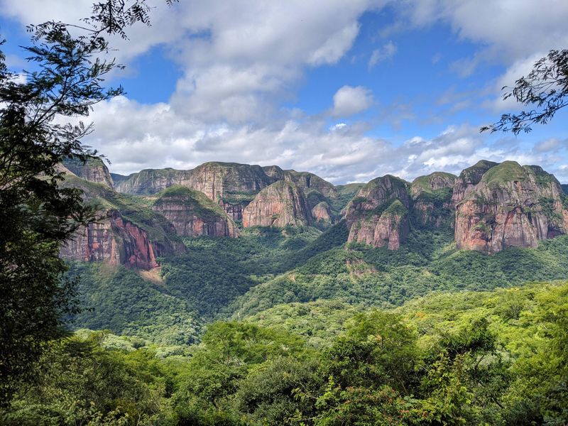 Samaipata, Bolivia – Mountain Wildflowers and Ferns