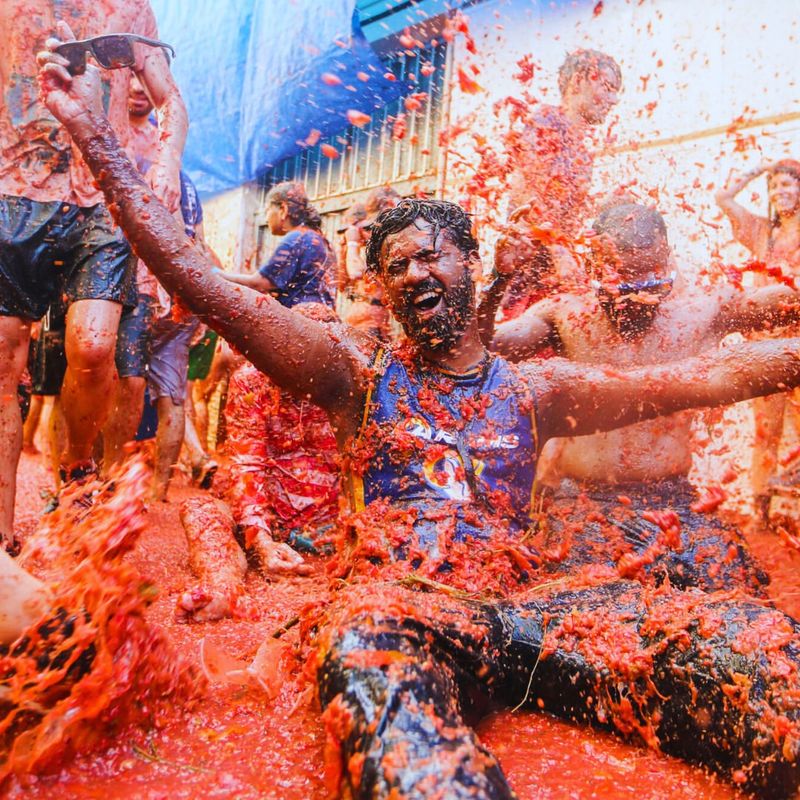 Tomatina Tomato Fight