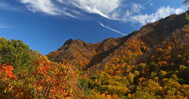 Chimney Tops Trail – Smokies